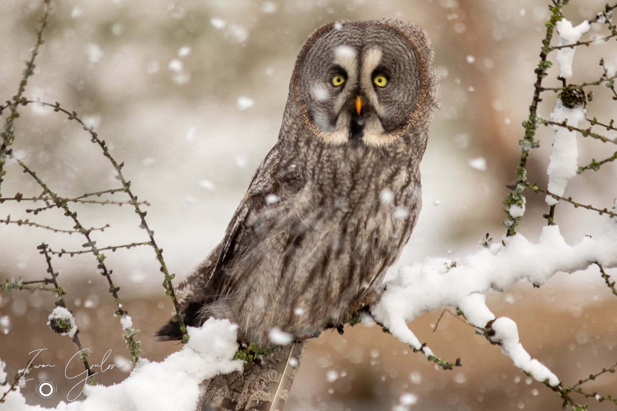 01 april 2022 105014  5D45478